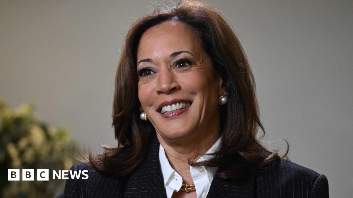 Kamala Harris Declares She Will Run for President Again in 2028