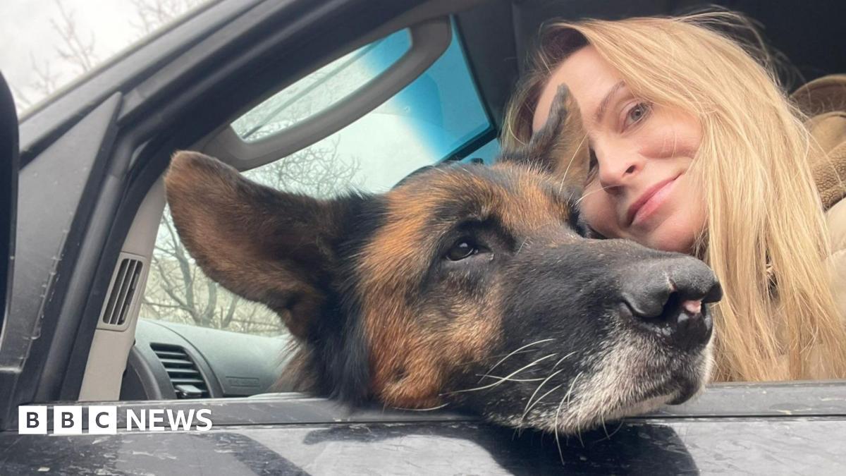 10,000 Ukrainians flee Russia’s May 10 offensive; Kharkiv shelters struggle, pets among arrivals