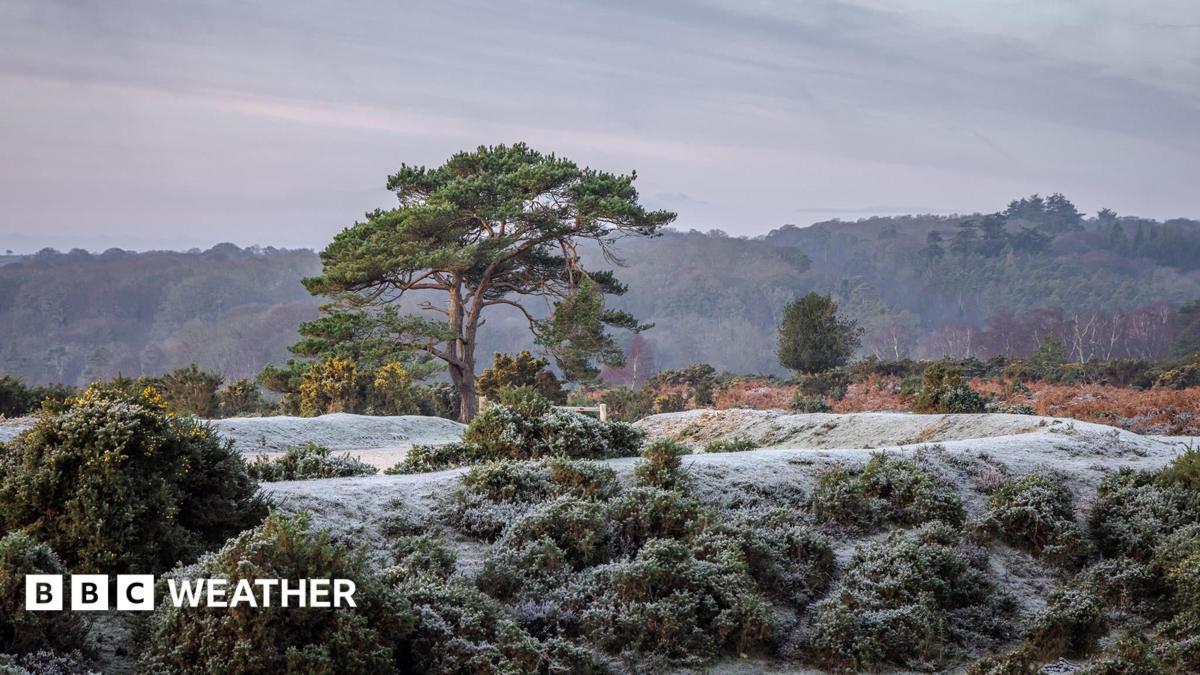 Image from BBC