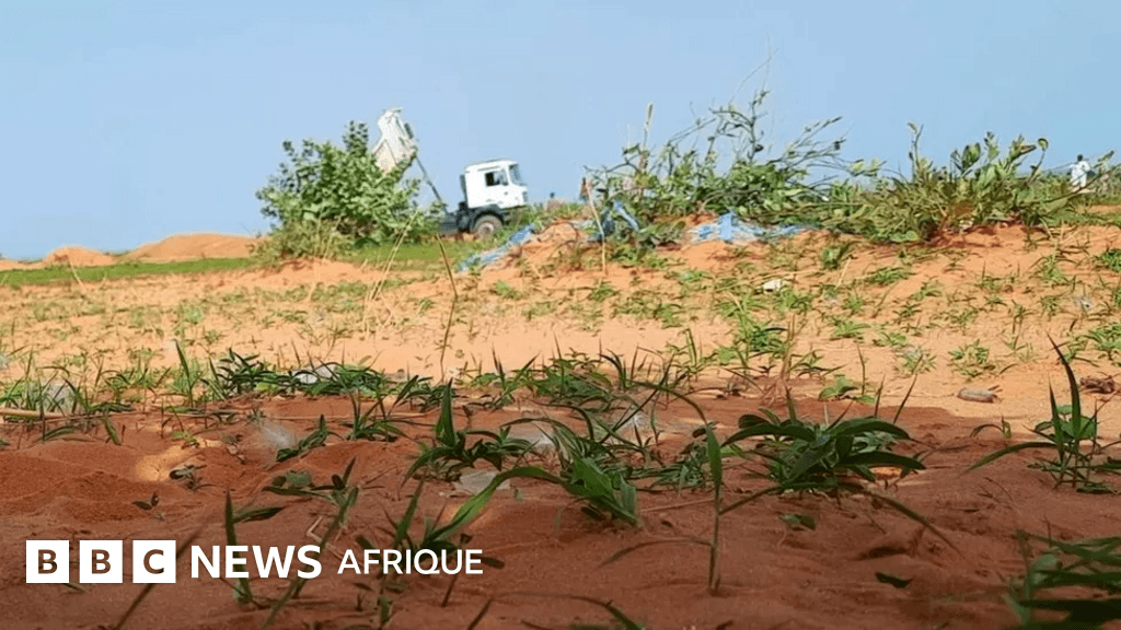 Image from BBC