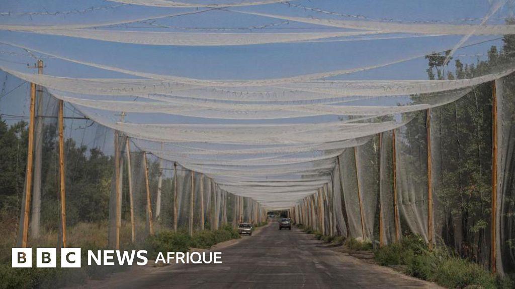 Image from BBC