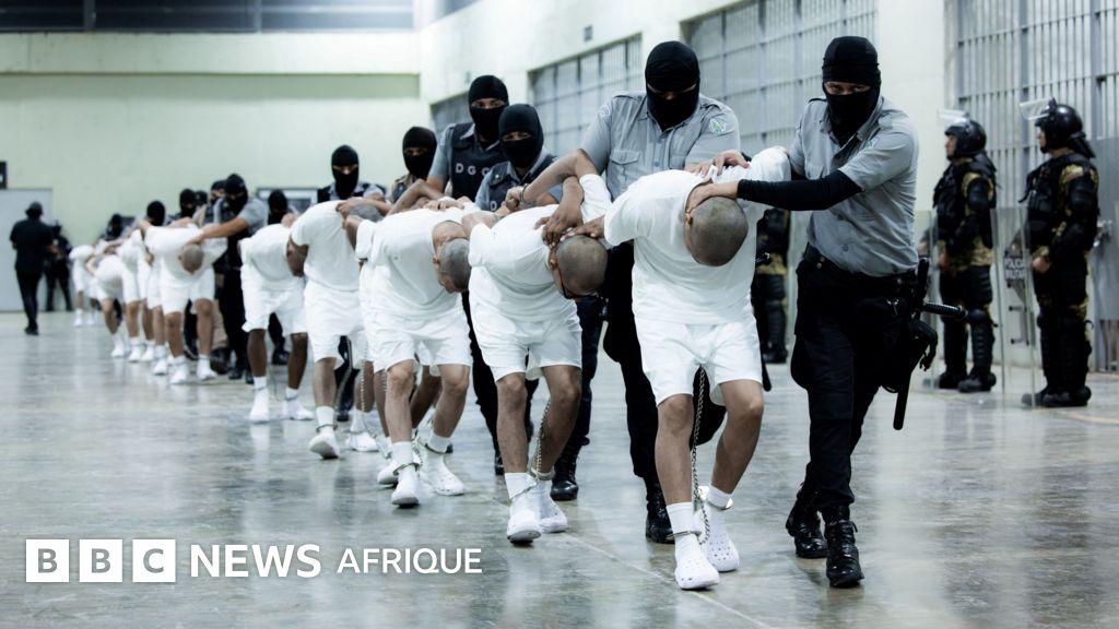 Image from BBC