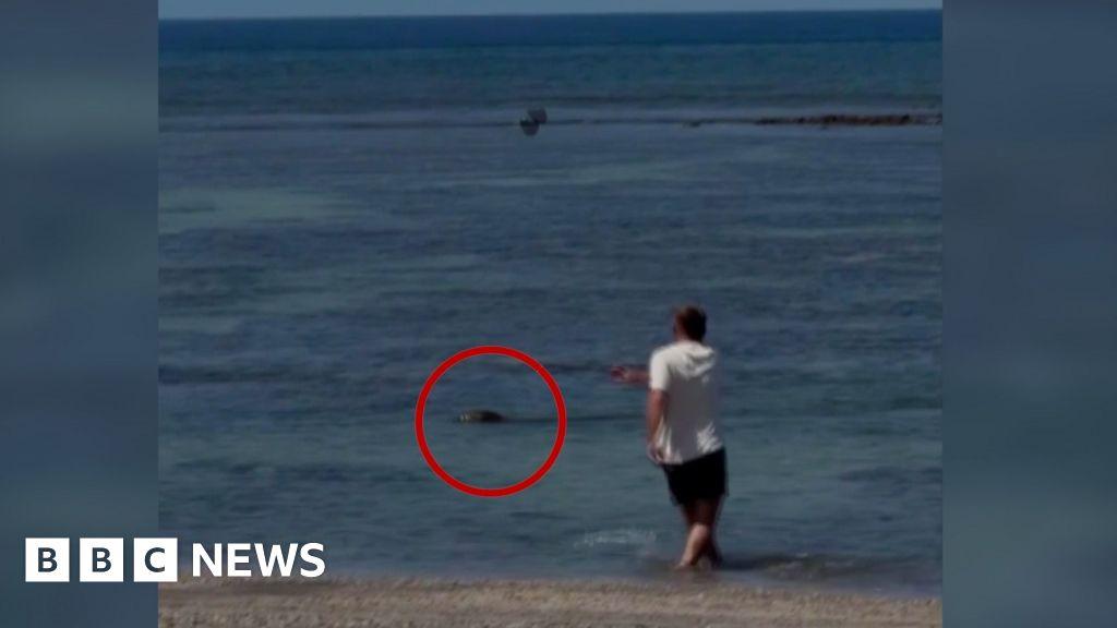 Image from BBC