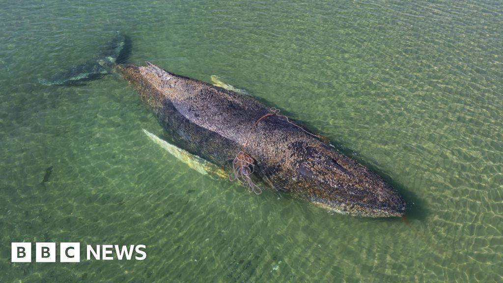 Image from BBC