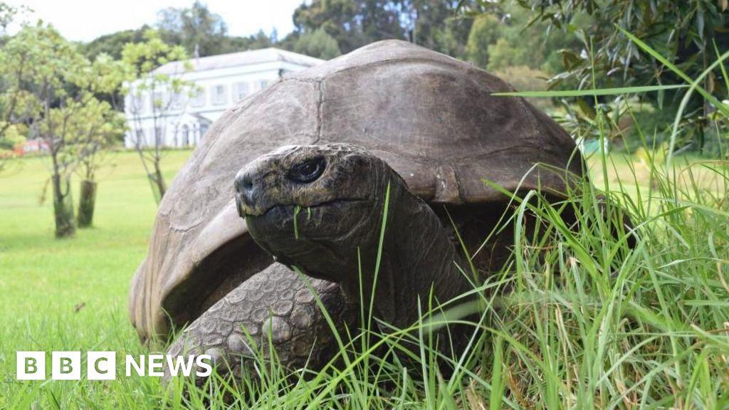 Image from BBC