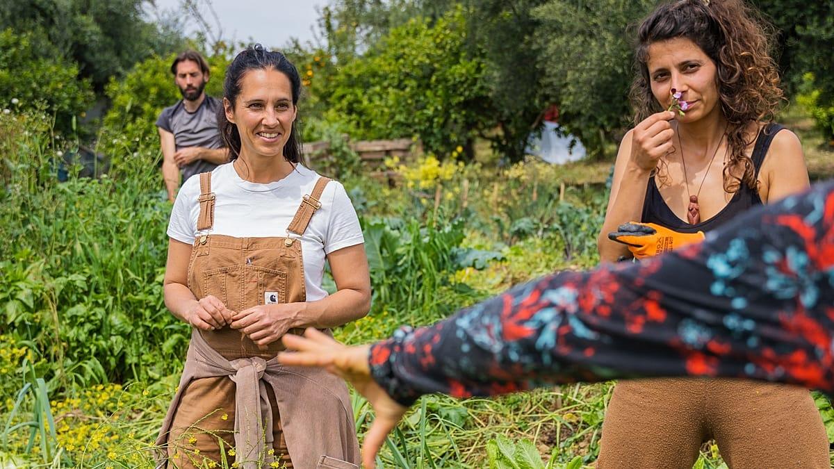 Global Fertilizer Prices Surge as Iran War Disrupts Strait of Hormuz Trade