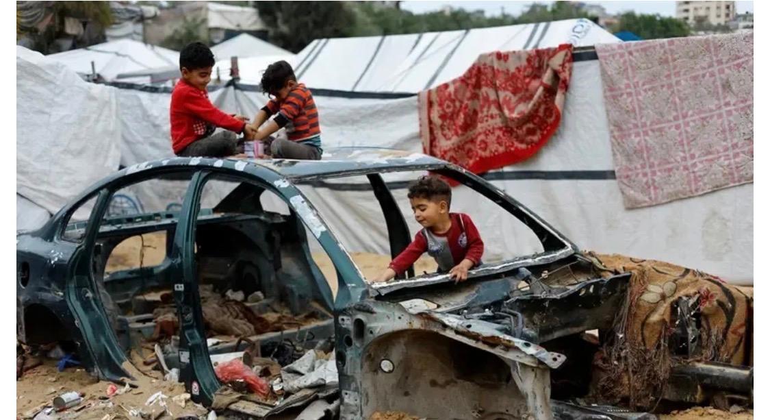 Rats and Weasels Overrun Gaza Displacement Camps, Spreading Disease to 1.45 Million