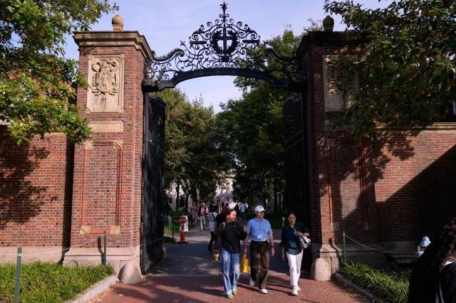 ICE Arrests Harvard Visiting Professor Carlos Portugal Gouvea for Firing Pellet Gun Near Synagogue