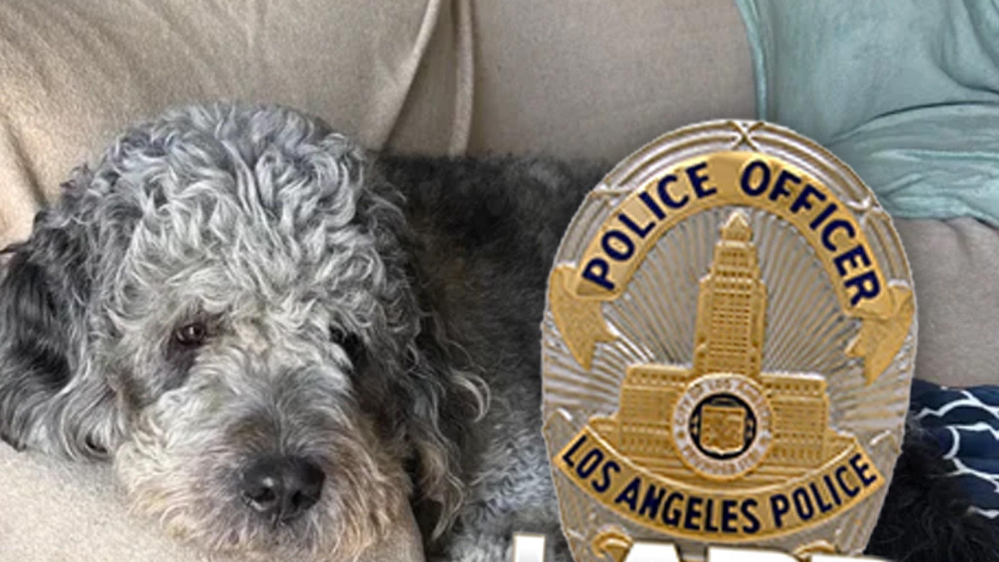 Los Angeles Officer Kills Dog Jameson During Canoga Park Welfare Check, Owner Sues LAPD