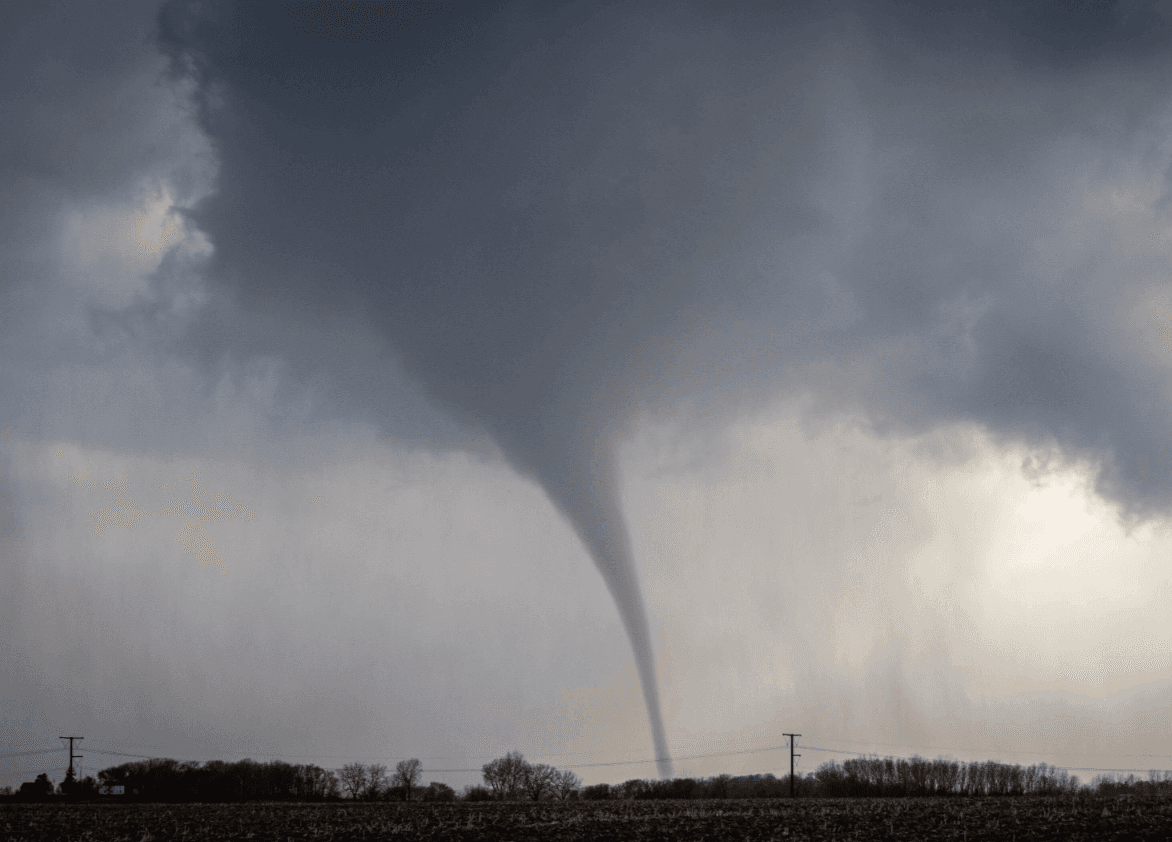 Image from MPR News