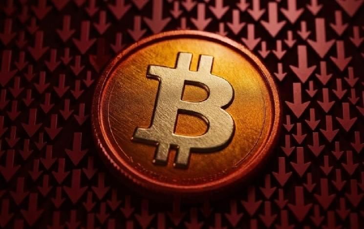 Image from Bitget