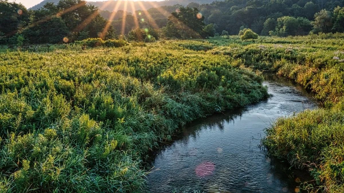 19 States Vote To Make Daylight Saving Time Permanent, Federal Law Still Forces Clock Change