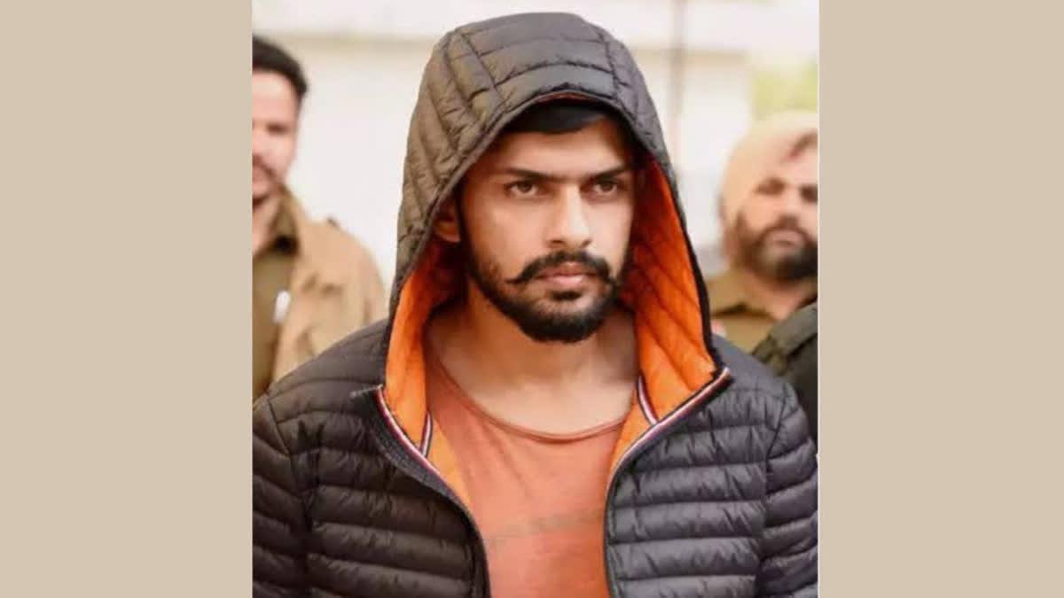 Image from ETV Bharat