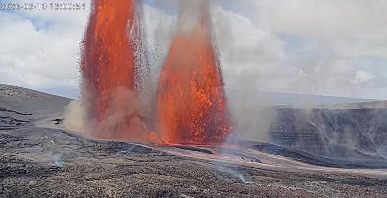 Image from Mongabay News