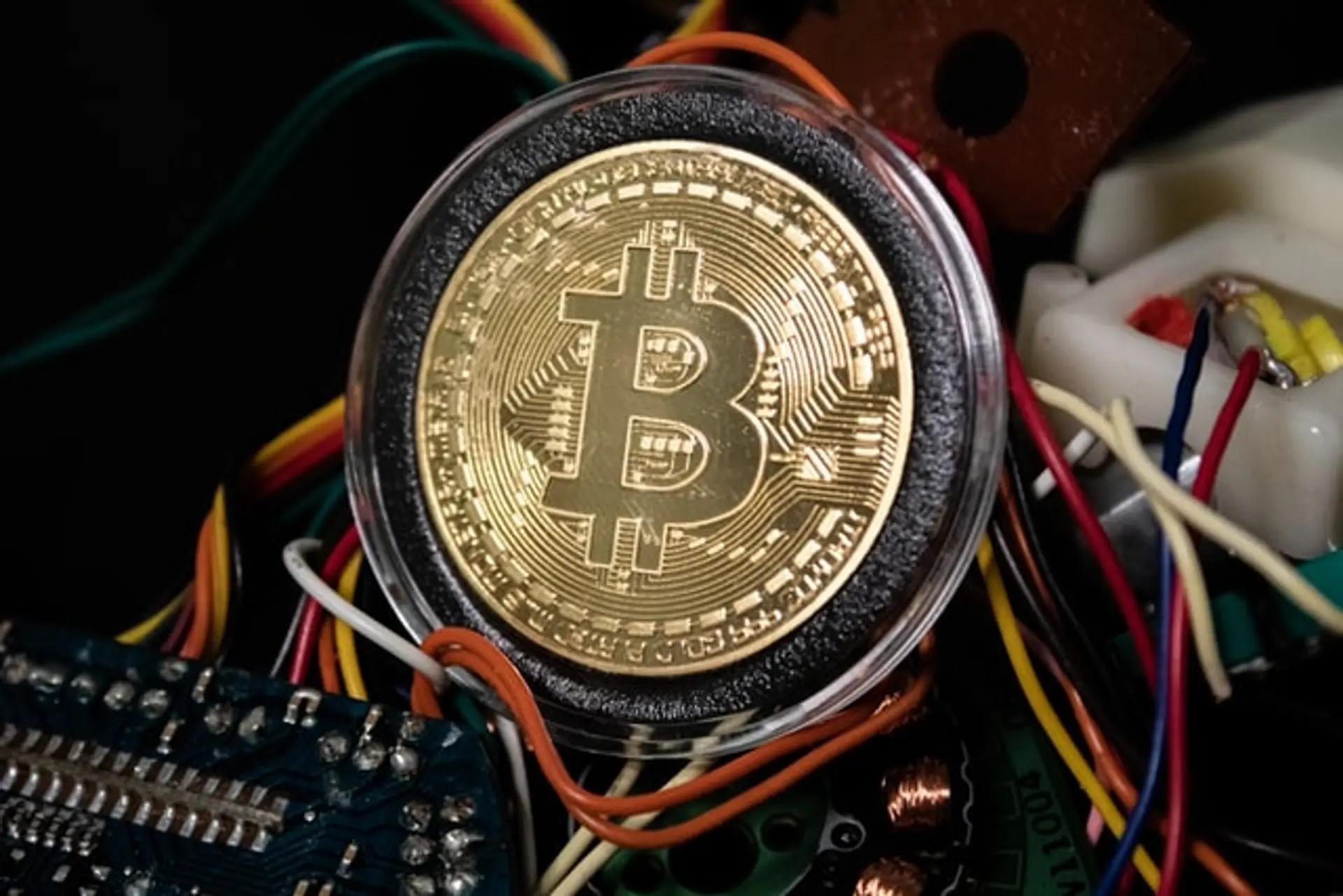 Image from bloomingbit