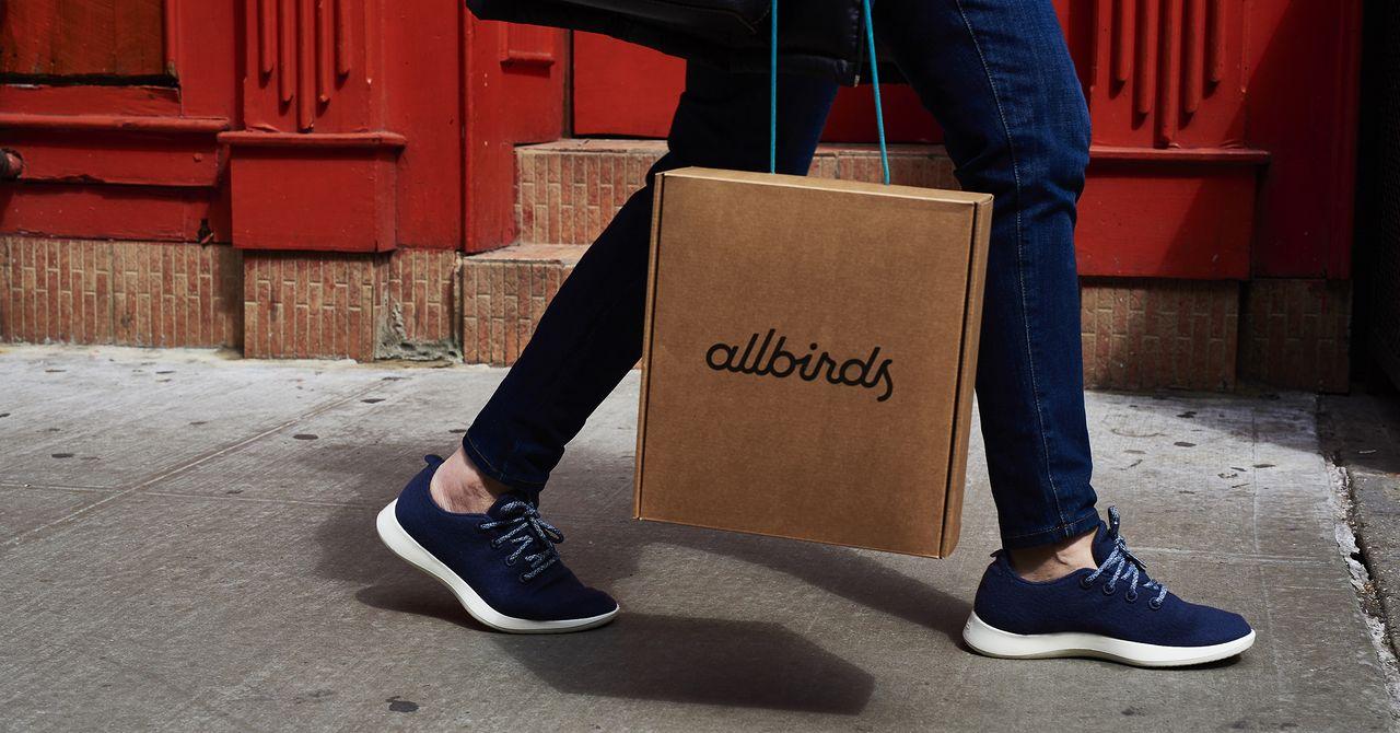 Allbirds Abandons Sneakers, Rebrands As NewBird AI, Shares Surge Over 800%