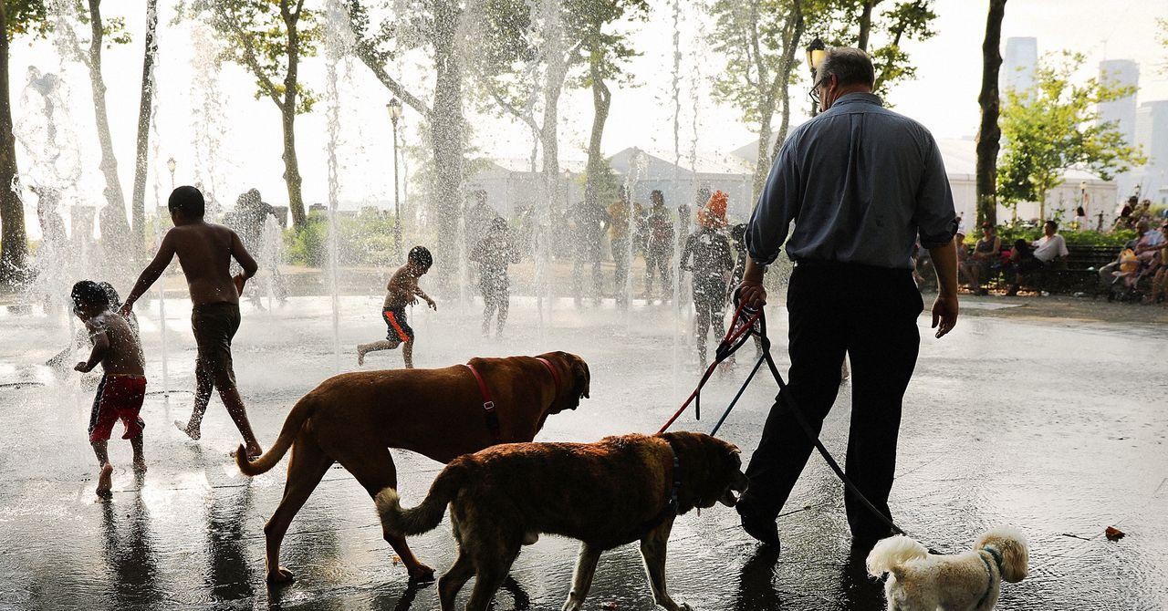 Extreme Heat Warning Hits New York City, With Feels-Like Temps 105-110 This Week