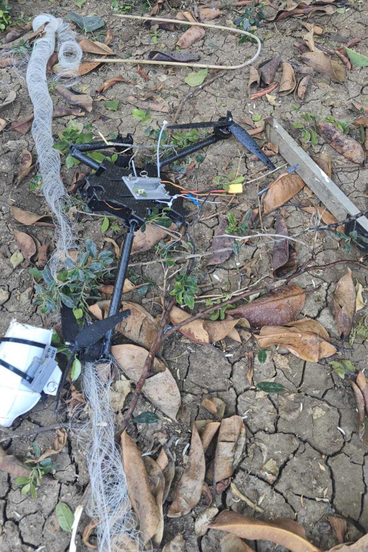 Image from myMotherLode