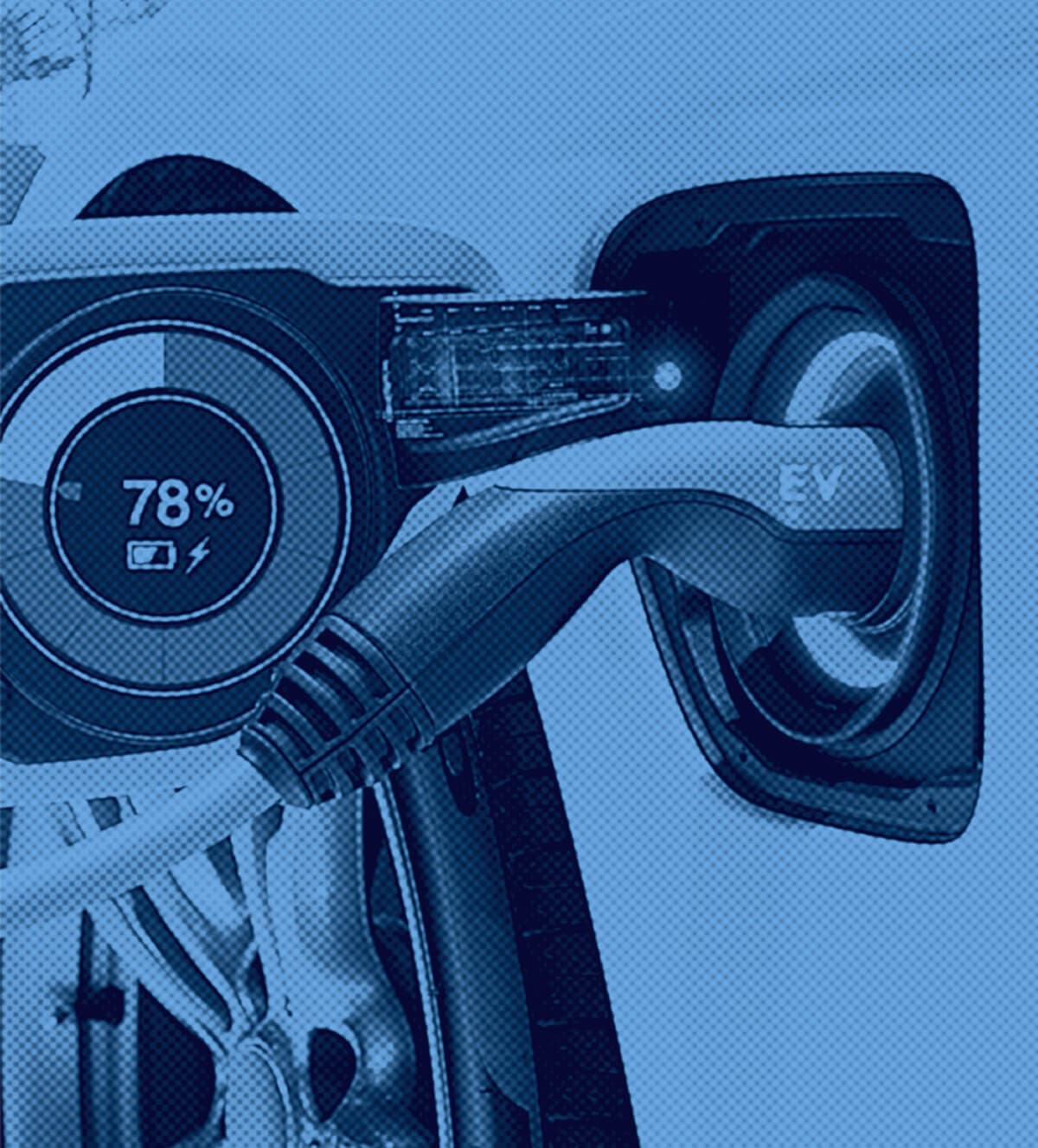 Image from National Today