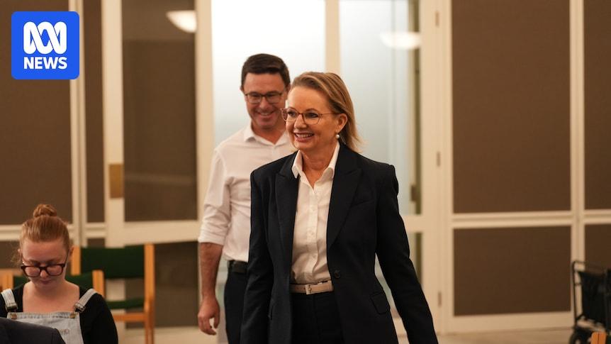 Image from SSBCrack News