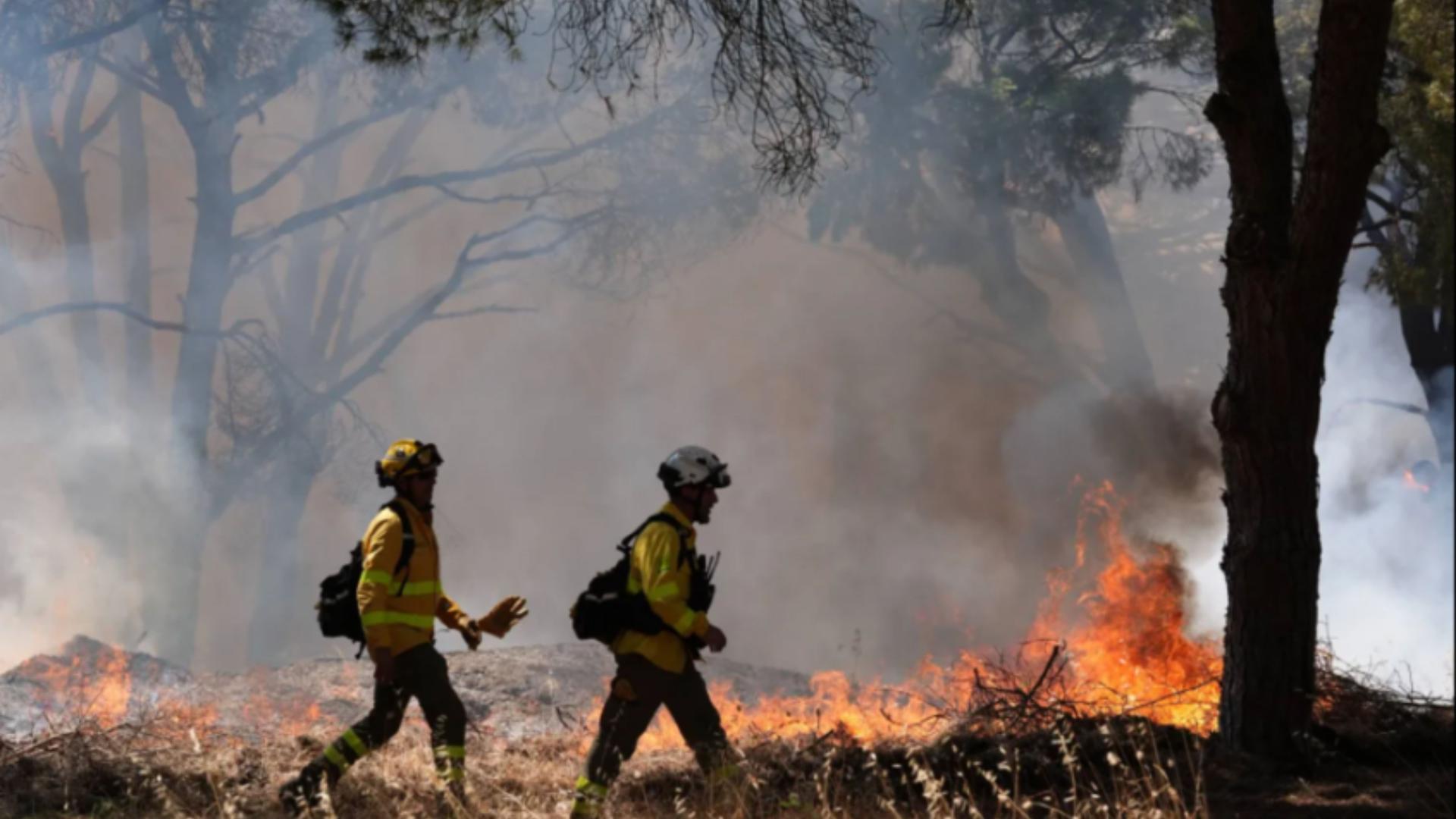 Wildfire Kills At Least 12, Including Four Britons, In Bedar And Los Gallardos, Spain