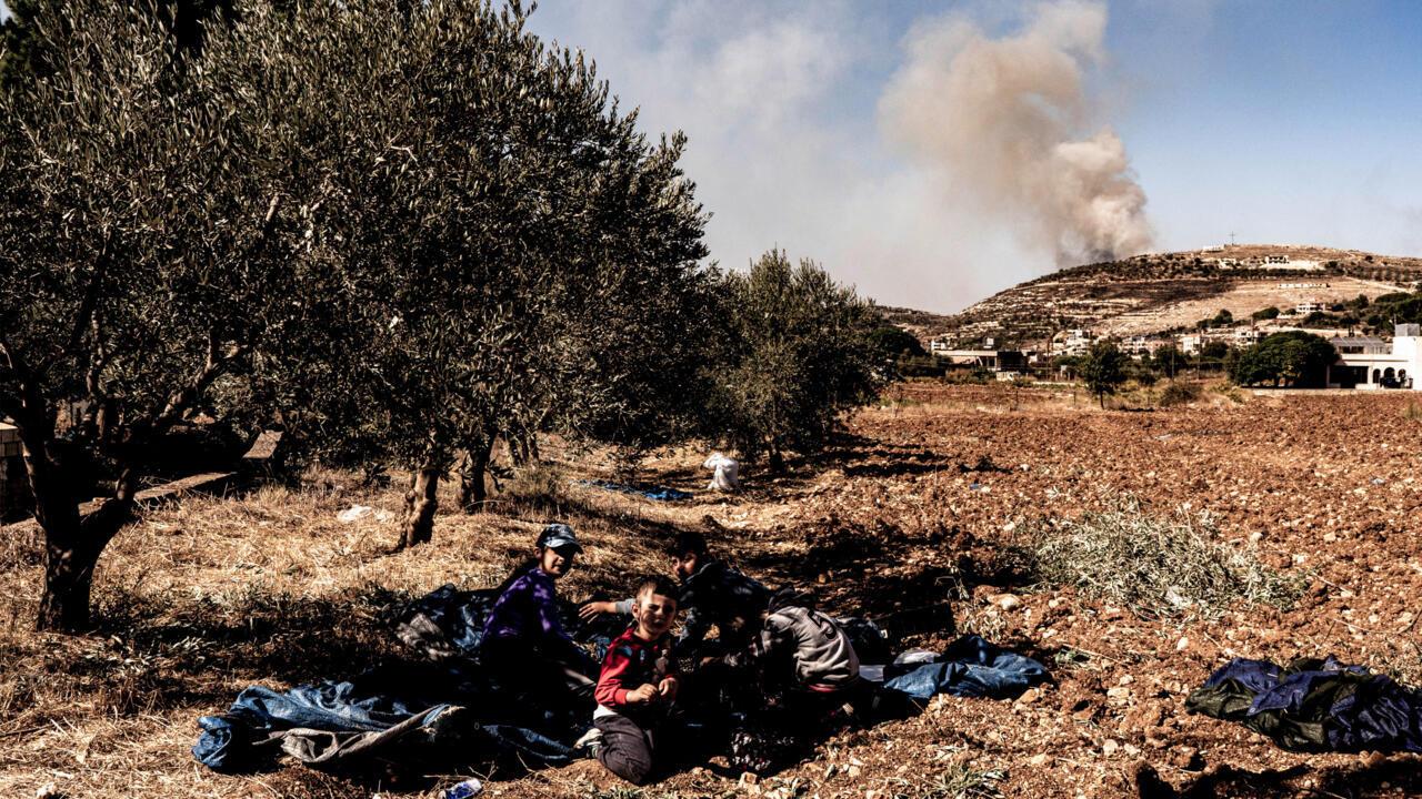 French-Lebanese Businessman Sues Israeli Army Over Uprooting 600 Olive Trees In Zibd