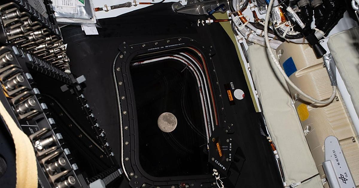 Image from ABC