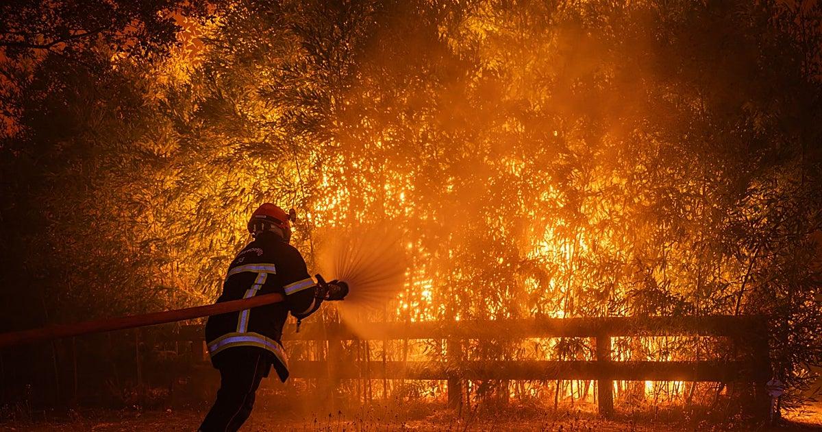 Image from ABC