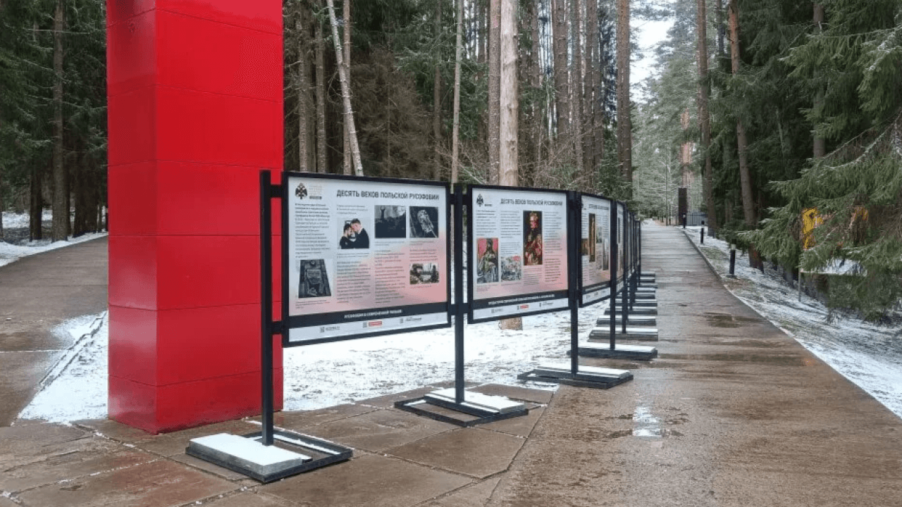 Image from TVP World