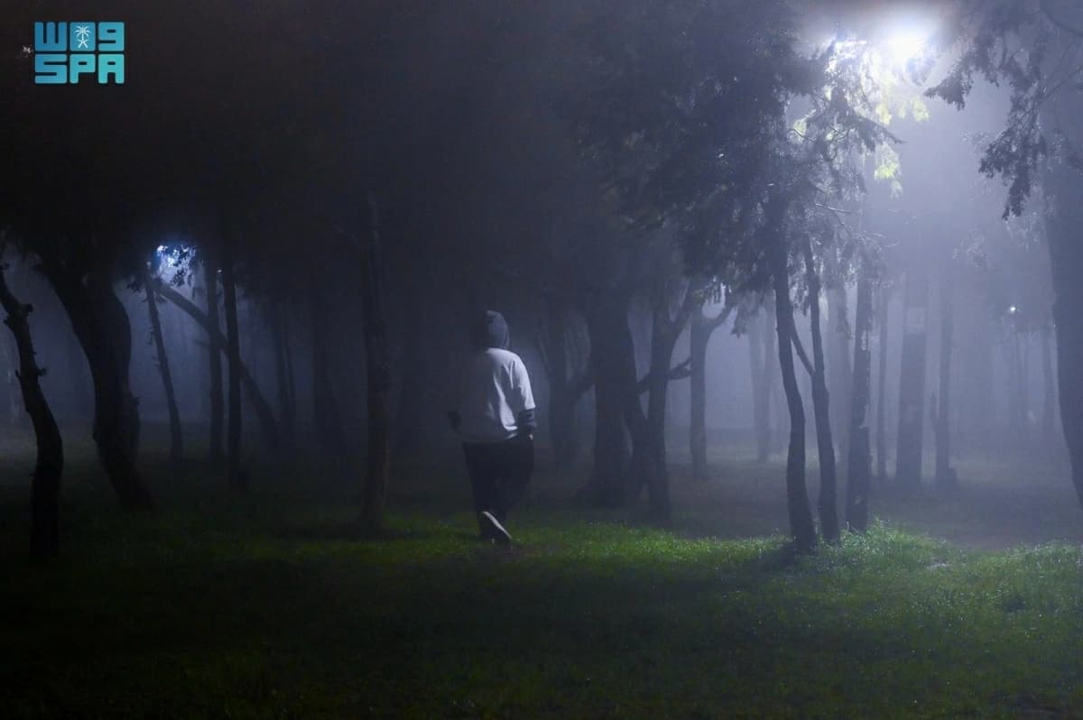 Image from Saudi Gazette