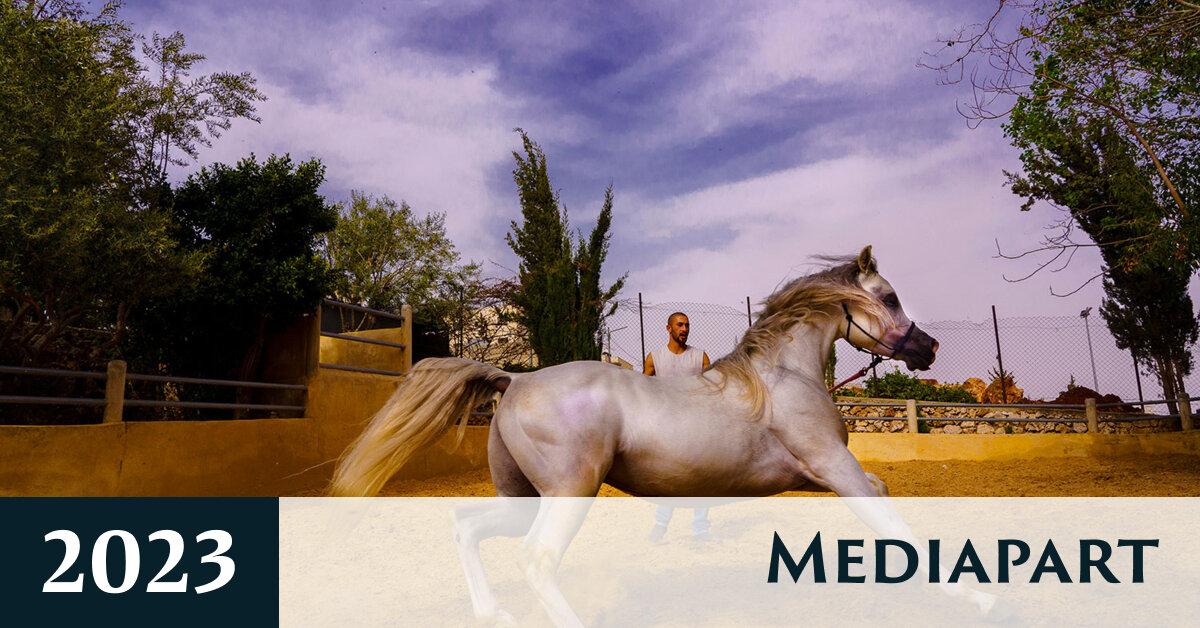 Image from Mediapart
