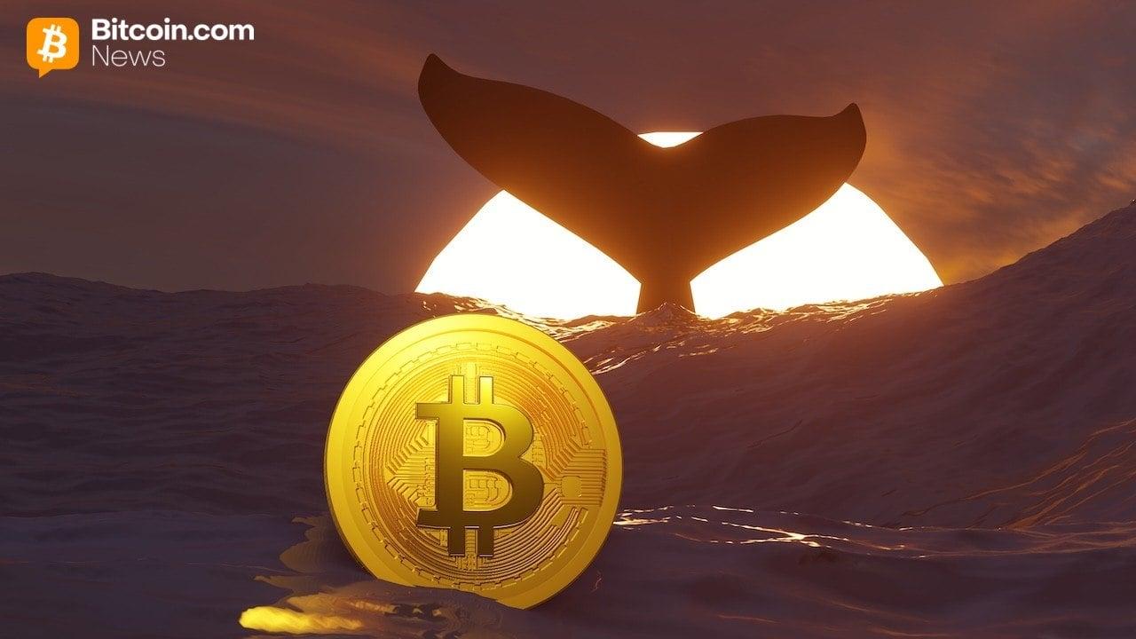 Image from Bitcoin News
