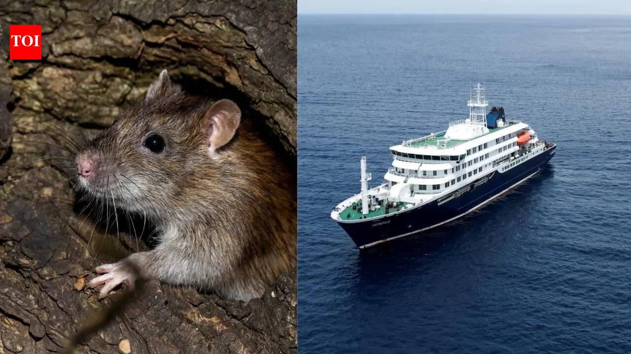 Spain Health Ministry Confirms New Hantavirus Case on MV Hondius, WHO Reports 11 Cases