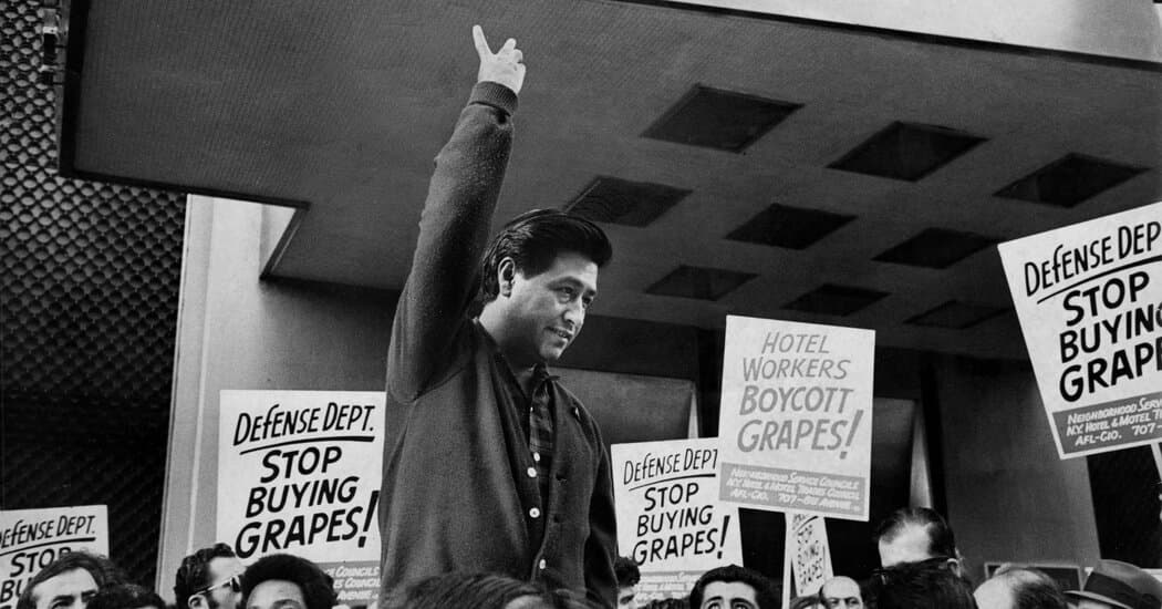 Image from The New York Times