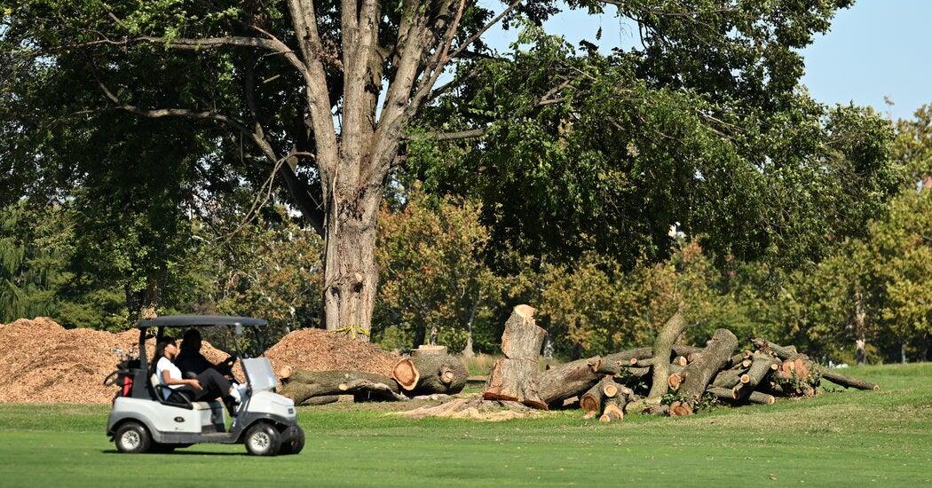 Trump Orders Immediate East Potomac Golf Links Renovation Despite Judge Ana Reyes Order