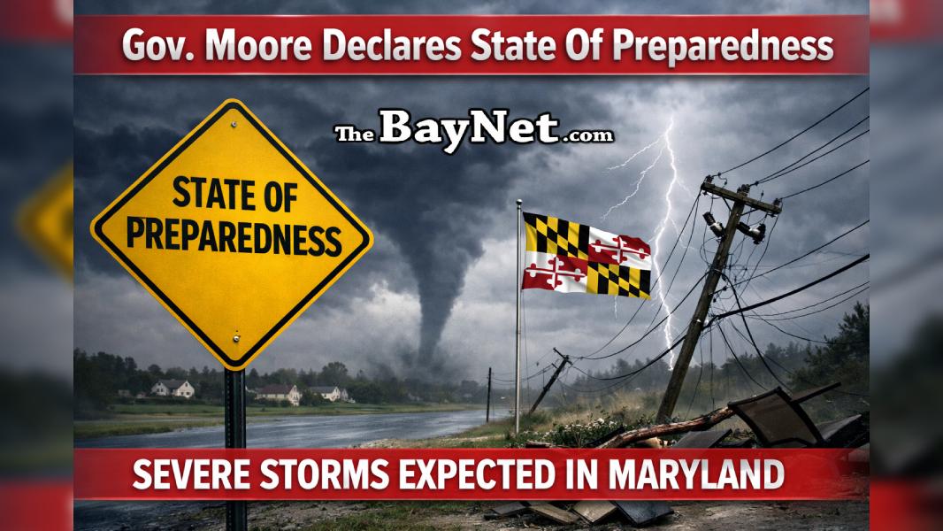 Image from The BayNet