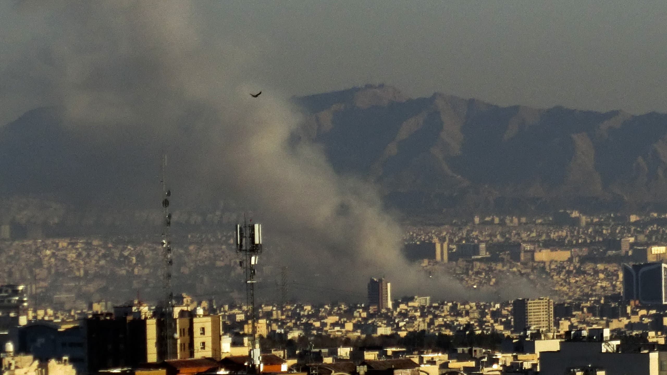 Image from The Media Line