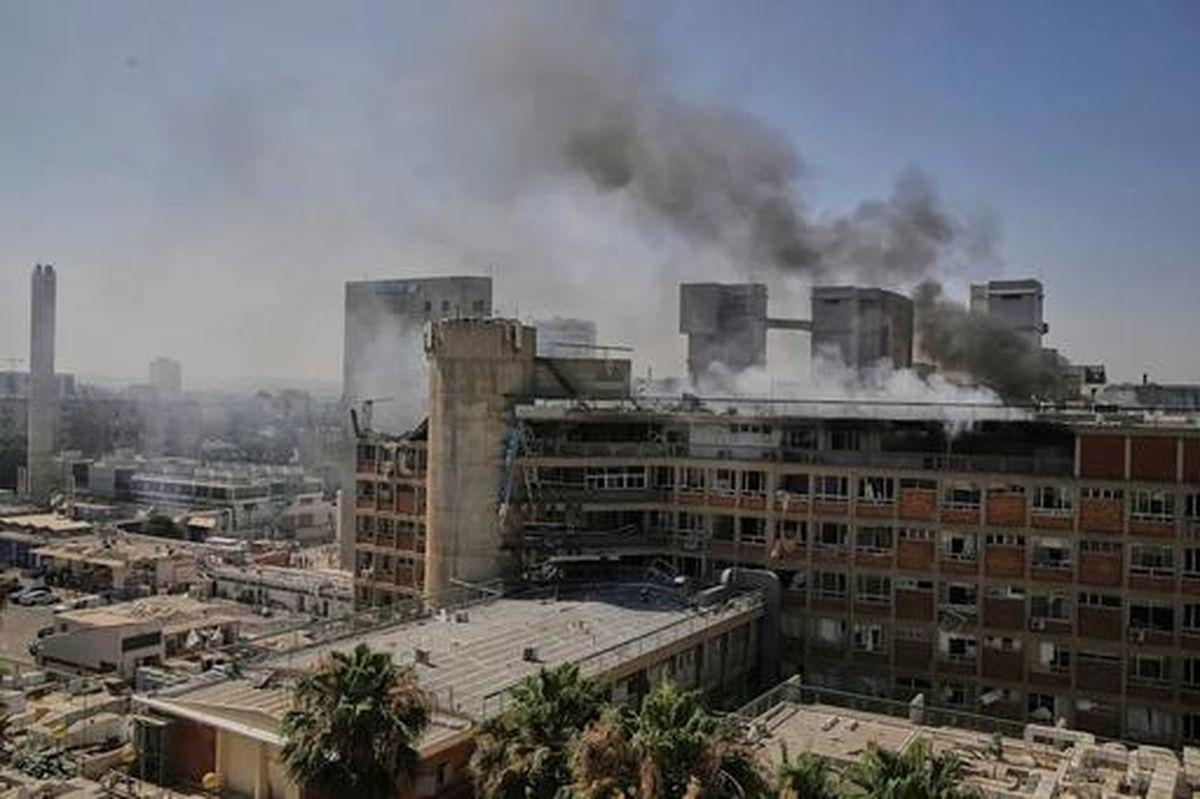 Image from Evrim Ağacı