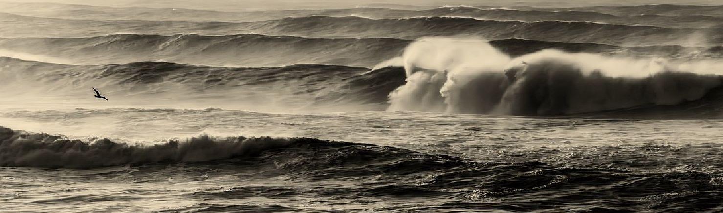 Supreme Court overturns ruling against Grande Communications in copyright piracy subscriber termination case