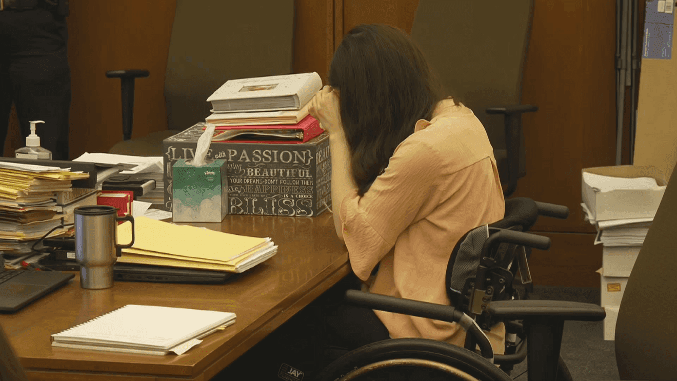 Defense Psychologist Paul Zeizel Says Lindsay Clancy Was Not Criminally Responsible for Killing Three Children