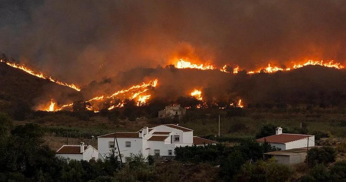 Spain Wildfires Kill British Couple Pete And Fran Gillam As DNA Identifies Victims