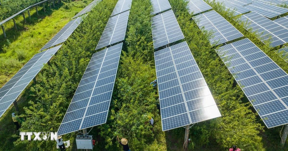Murat Kurum’s Türkiye COP31 Presidency Targets 35% Electrification By 2035 And Zero Waste