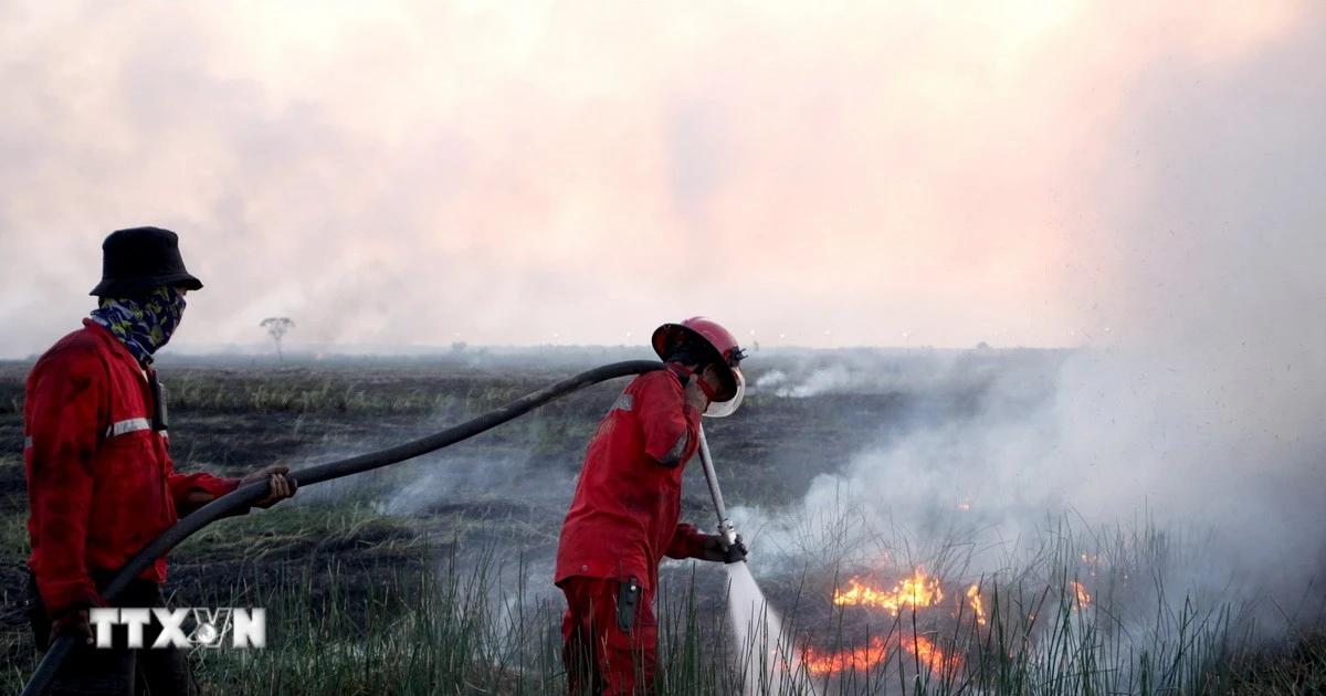 Climate Impact Lab Projects 451,000 More Heat Deaths From Super El Nino Through February 2027
