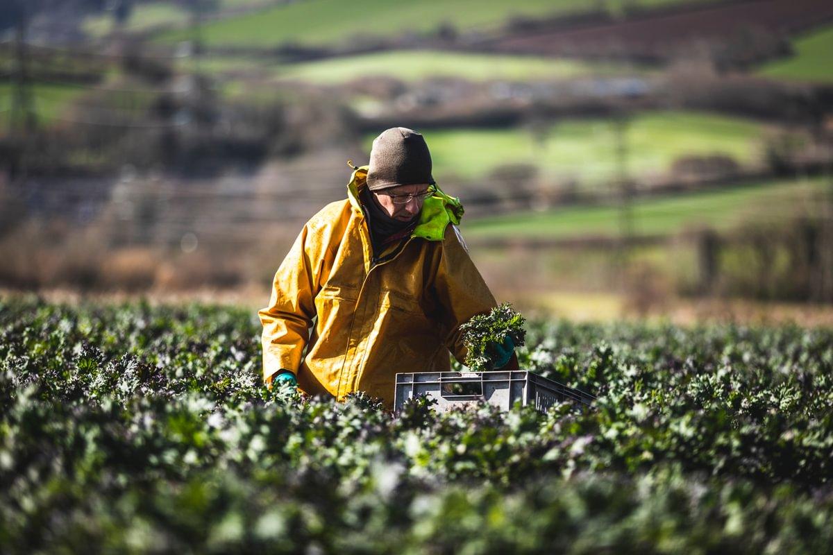 Environment Secretary Dame Angela Eagle Launches Organic Action Plan To Raise England Organic Farmland To 10%