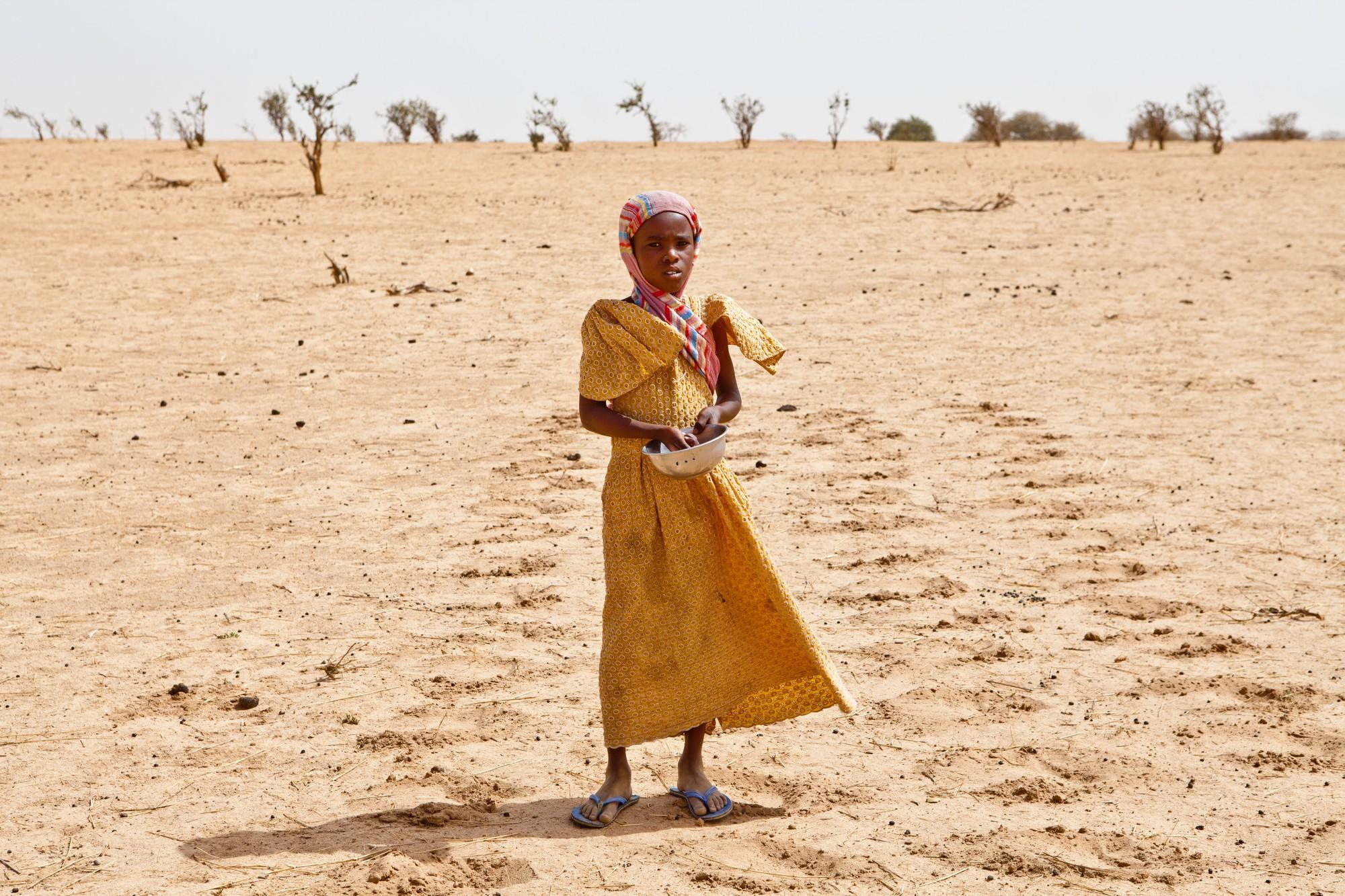 Sudan Faces Climate Change Damage Amid Continuing War, Environmental Priority Urged