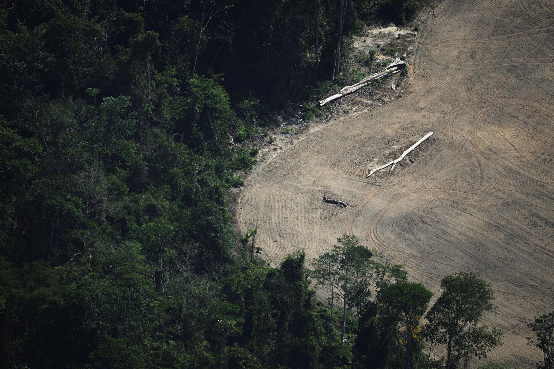 Image from Climate Home News
