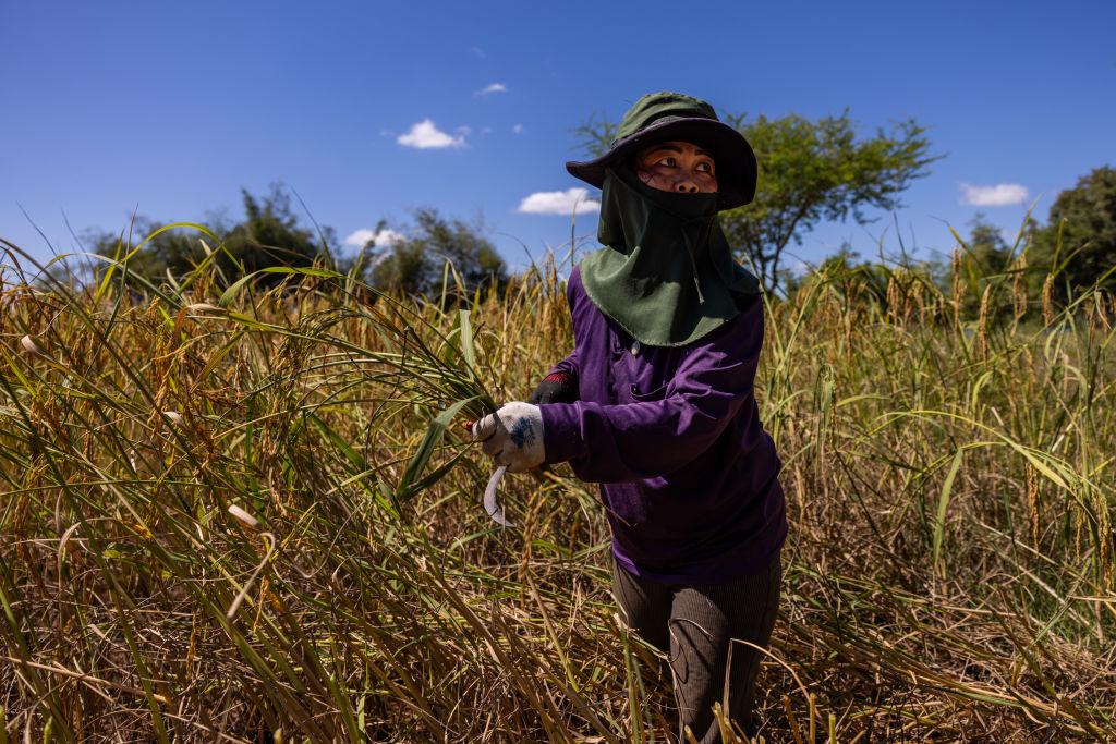 Image from Climate Home News