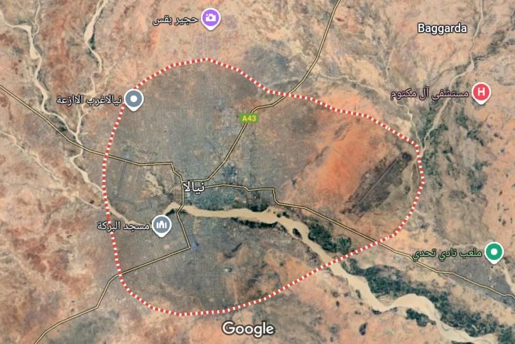 Senior RSF leaders survive drone attack in Nyala, South Darfur