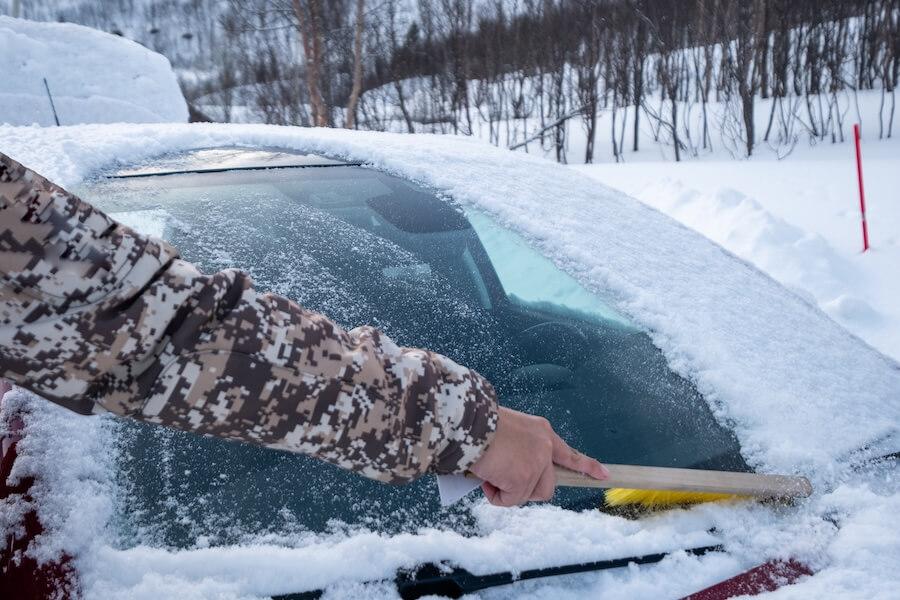 Image from El Minnesota de Hoy