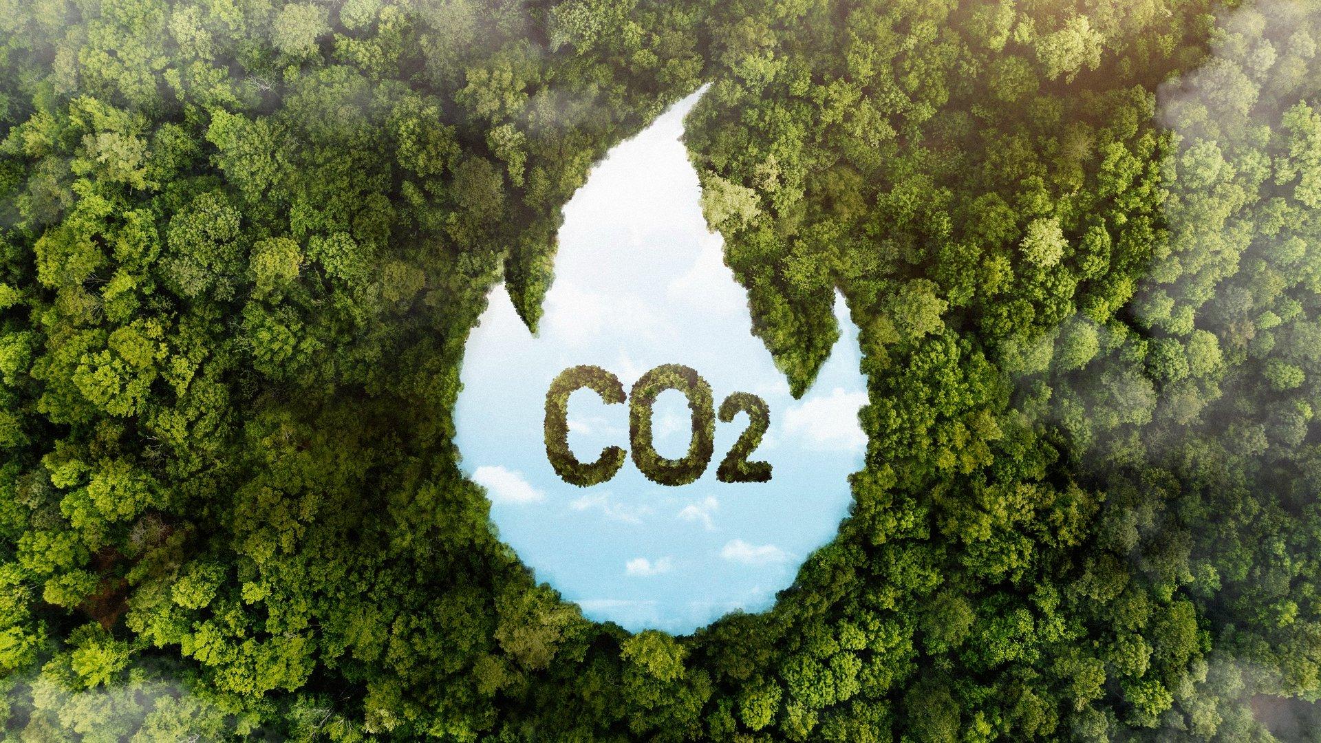 Image from ESG News.earth